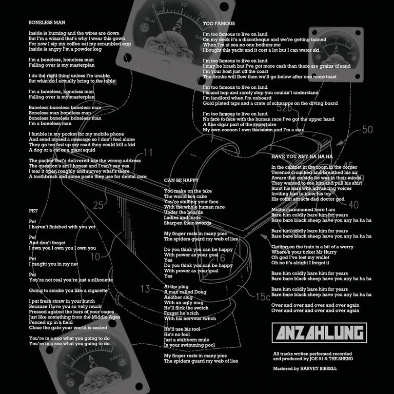 Anzahlung - What You Think You Are Is All You've Got