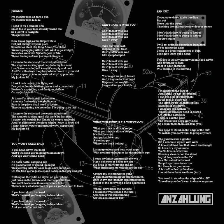 Anzahlung - What You Think You Are Is All You've Got