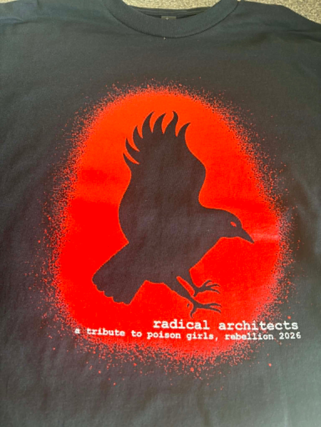 Radical Architects T Shirt